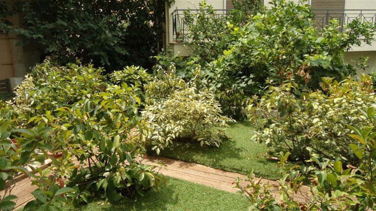 back garden a