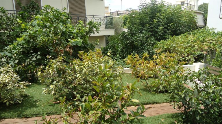 back garden b