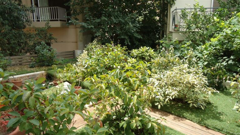 back garden c