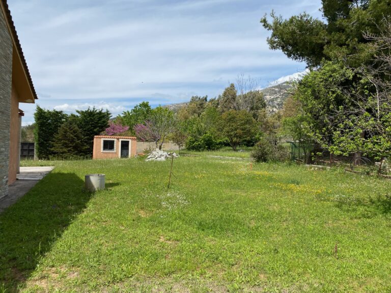 garden c