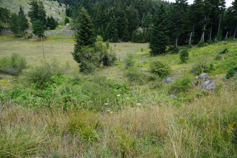 dsc03250