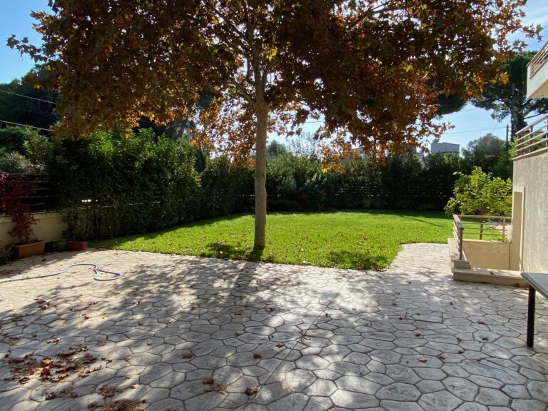 garden d