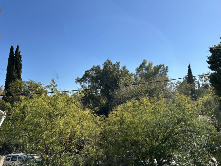 view view